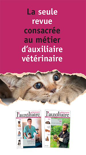 abonnez-vous